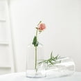 thumbnail image 1 of BalsaCircle 2 Pieces 12" Clear Glass Vases Tapered Neck Party Centerpieces Decorations, 1 of 8