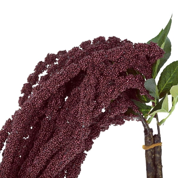 Balsa Circle 2 Pieces 36" Burgundy Artificial Amaranthus Plant Home Party Decorations