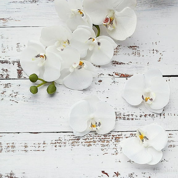 BalsaCircle 20 White 4" Artificial Faux Silk Orchid Flower Heads Wedding Party Decorations