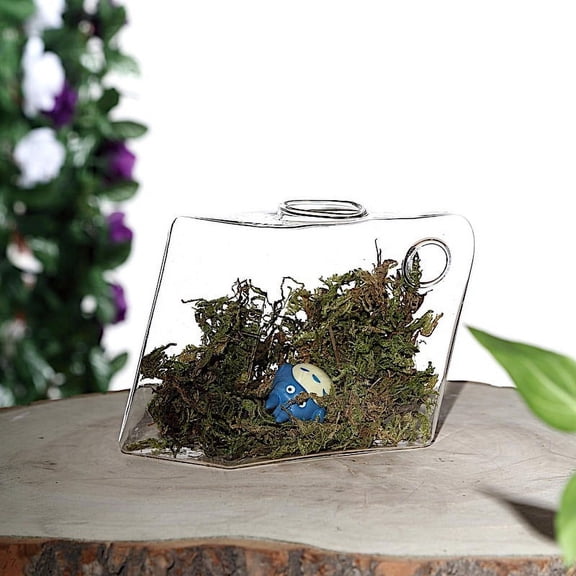 BalsaCircle 3 Clear Rhombus Glass Wall Hanging Terrariums Vases Centerpieces Wedding Decorations Party