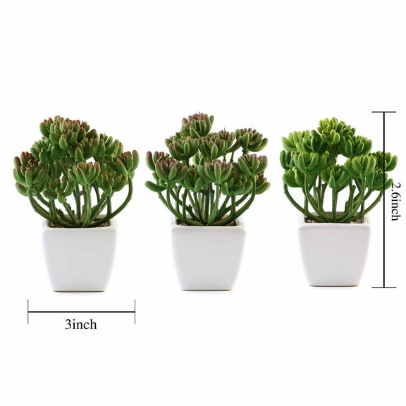 BalsaCircle 3 Green 7" Artificial Faux Realistic Jelly Bean Succulent Plants Off White Pots
