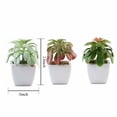 thumbnail image 1 of BalsaCircle 3 Green Assorted 5" Artificial Faux Echeveria Succulent Plants Off White Pots, 1 of 6