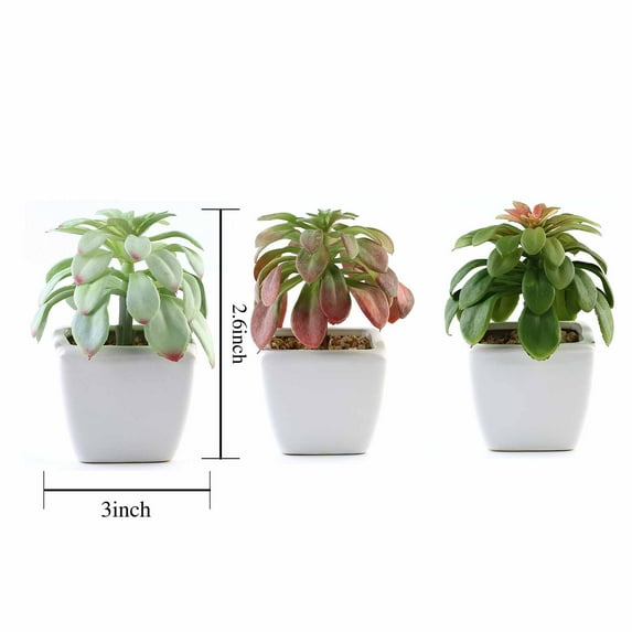 BalsaCircle 3 Green Assorted 5" Artificial Faux Echeveria Succulent Plants Off White Pots