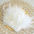 thumbnail image 1 of BalsaCircle 39" White Natural Turkey Feathers Trim Satin Ribbon Wedding Decorations, 1 of 5