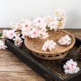 thumbnail image 1 of BalsaCircle 4 Pieces 40" Blush Silk Cherry Blossom Branches Artificial Flowers Centerpieces, 1 of 8