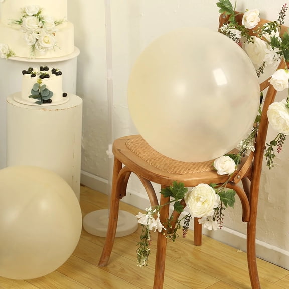 BalsaCircle 5 Clear 36 in Round Latex Biodegradable Balloons Wedding Reception Events Graduation Birthday Party Decorations Supplies