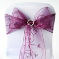 thumbnail image 1 of BalsaCircle 50 Eggplant Fancy Embroidered Sheer Organza Chair Sashes Bows Ties, 1 of 4