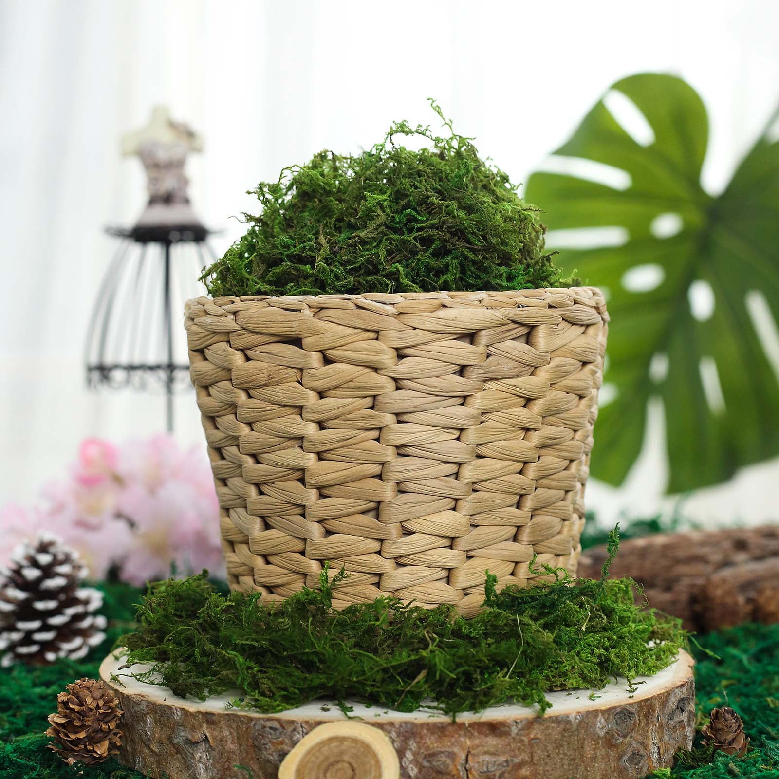 Balsacircle 18 inch x 16 inch Green Natural Preserved Moss Sheet Wedding Party Crafts Centerpieces Decorations, Size: 18 x 16