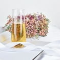thumbnail image 1 of Balsa Circle 6 Clear 9 oz Plastic Champagne Stemless Disposable Glasses, 1 of 8