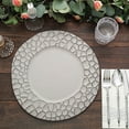 thumbnail image 1 of Balsa Circle 6 Matte Gray Irregular Round 13 in Plastic Charger Plates Giraffe Pattern Rim Party Events Decorations, 1 of 8