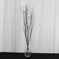 thumbnail image 1 of BalsaCircle 6 Natural Extra Long 46" Decorative Birch Tree Branches Vase Fillers Rustic Dried Twigs Sticks Wedding Party, 1 of 8