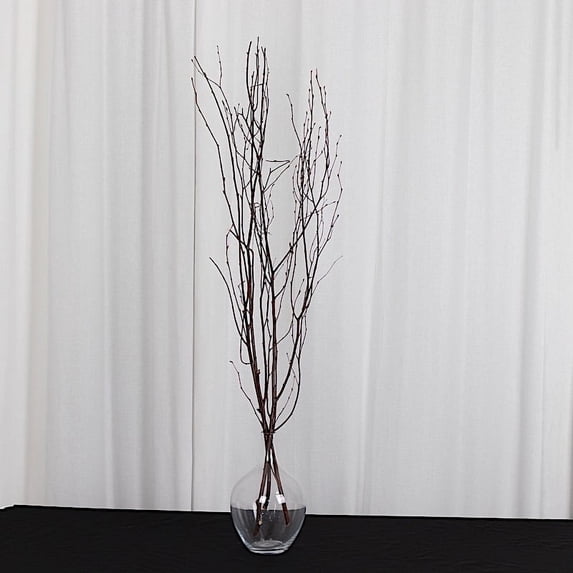 BalsaCircle 6 Natural Extra Long 46" Decorative Birch Tree Branches Vase Fillers Rustic Dried Twigs Sticks Wedding Party