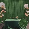 thumbnail image 1 of BalsaCircle 8x8 feet Green Shaggy Fringe Polyester Backdrop Curtain Panel Party Events Home Decorations Supplies, 1 of 8