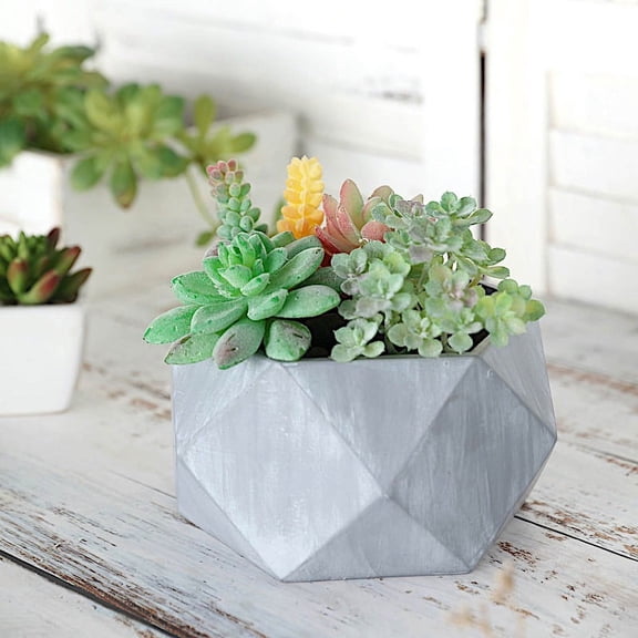 BalsaCircle Gray 4" Concrete Flower Plant Pot Geometric Mini Planter Wedding Party Decorations