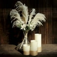 thumbnail image 1 of BalsaCircle White 6 Sprays Stems 32" Natural Pampas Grass Dried Plant Wedding Party, 1 of 8
