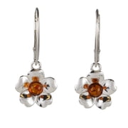 Baltic Honey Amber Rose Rose Mallow Drop Earrings in Sterling Silver