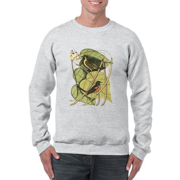 Baltimore Bird. Catalpah Sweatshirt Men -Mark Catesby Designs, Male 5X-Large