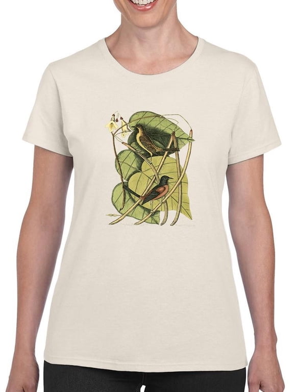 Baltimore Bird. Catalpah T-Shirt Women -Mark Catesby Designs, Female Medium