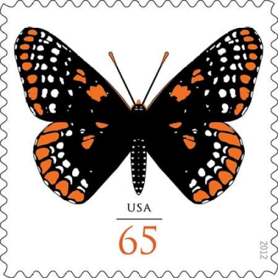 Baltimore Checkerspot Canvas Art - US POSTAL SERVICE (24 x 24)