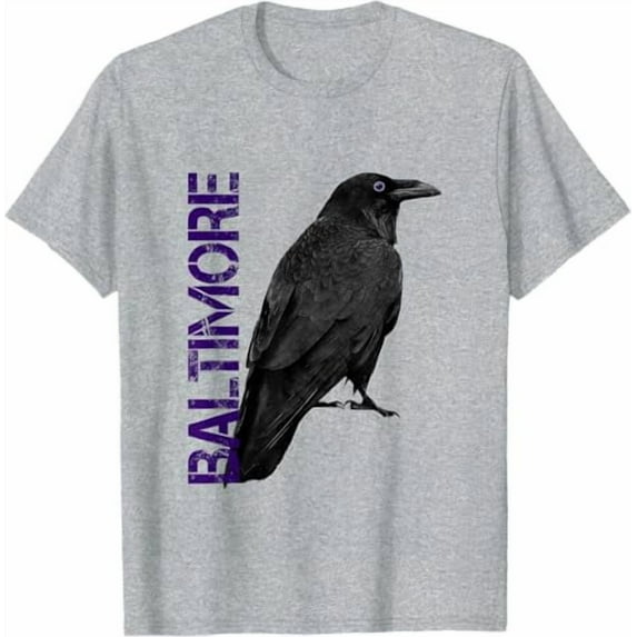 Baltimore Maryland Edgar Allan Poe Raven Eye T Shirt Sport Grey Color