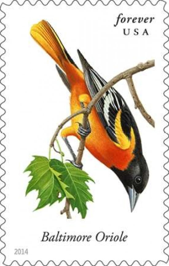 Baltimore Oriole Canvas Art - US POSTAL SERVICE (12 x 18)