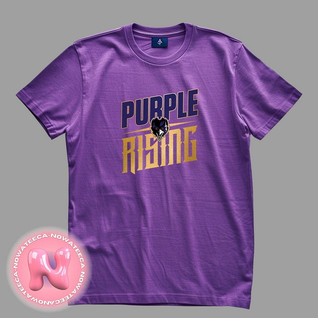 Baltimore Team Raven Football Nfl Season 2024 2025 Logo TShirt Shirt