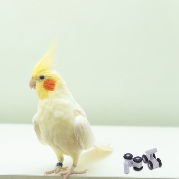 Baluue 1Pair Bird Skate Shoes Durable Parrot Accessories for Cockatiels Conures