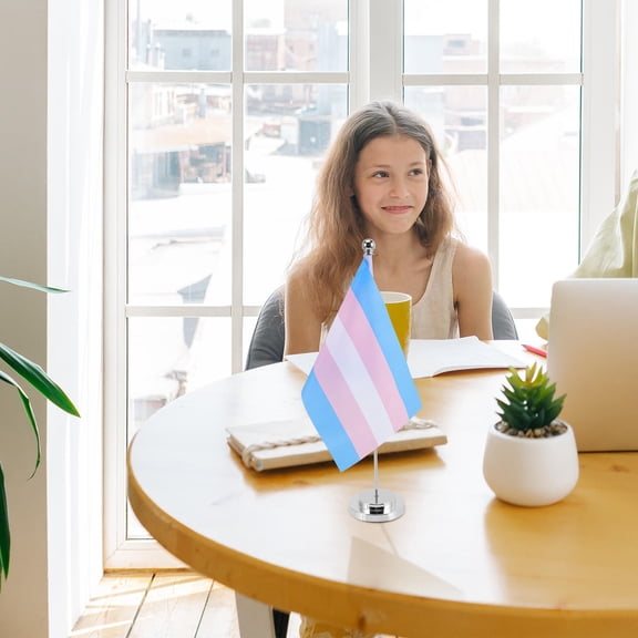 Baluue 1 Set Double Sided Rainbow Flag Table Stand for Garden Decoration Pride Supporters