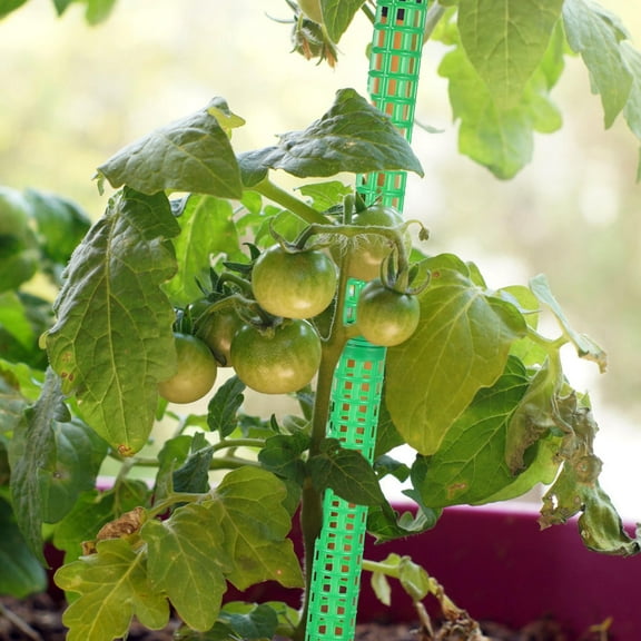 Baluue 1 Set Tree Support Stakes Green PVC Support For Vine Plants Indoor Cultivation