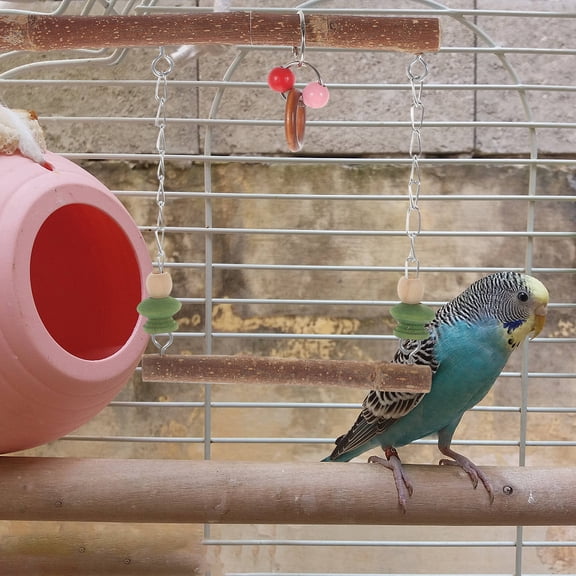 Baluue bird enrichment toys Wood Intelligence Development Pet Set