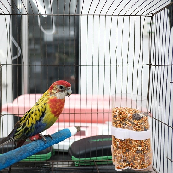 Baluue Parrot Food Container Transparent PVC 2Pcs