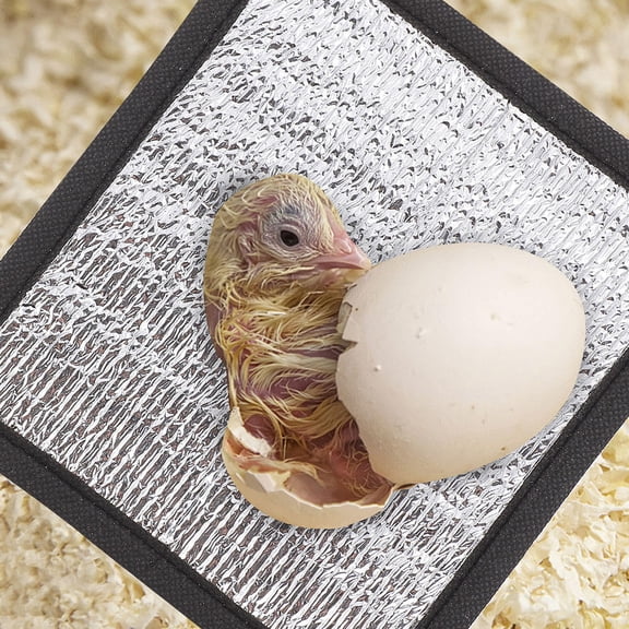 Baluue 4Set Insulation Mat for Snakes Aluminum Film Warmth Assorted Color