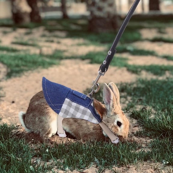 Baluue Vest Harness with Adjustable Waist Belt for Small Pets Outdoors