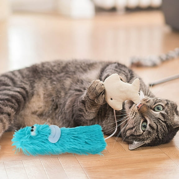 Baluue Funny Cat Toys Catnip Pillow Plush Indoor Cats Pet Owners Indoor Set