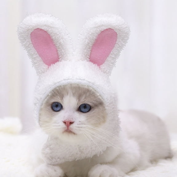 Baluue Cat Hat Pet Headdress White Lambs Wool 1 Pcs