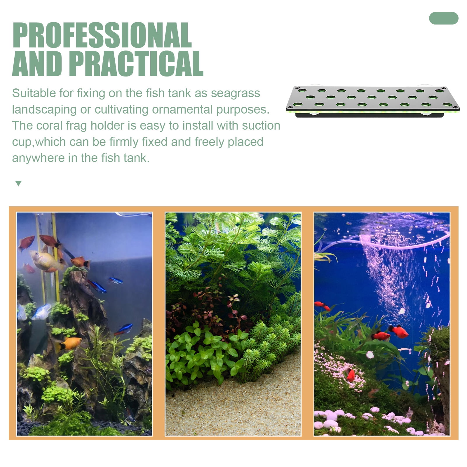 Supporto Coralli Magnetico Acrilico - Frag Rack Per Acquario, 23 Fori, Per Coralli SPS E LPS - Foto 5