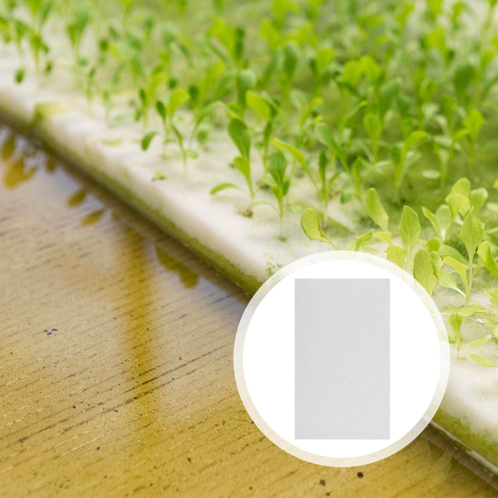 Baluue Germinating Paper,150Pcs Professional Germinating Paper Paper ...