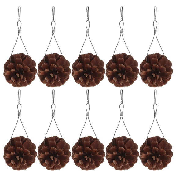 Baluue Bird Feeding Training Toy Parakeet Bird Toys Pine Cone 10pcs