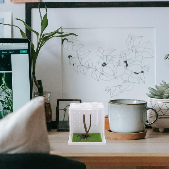 Baluue Portable Pet Spider Supplies Acrylic 1Pcs