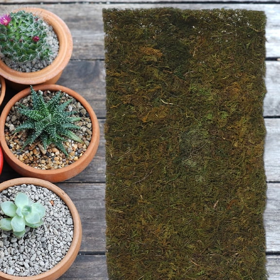 Baluue Green Artificial Lawn Turf with Vibrant Realistic Look for Window Home and Garden Displays