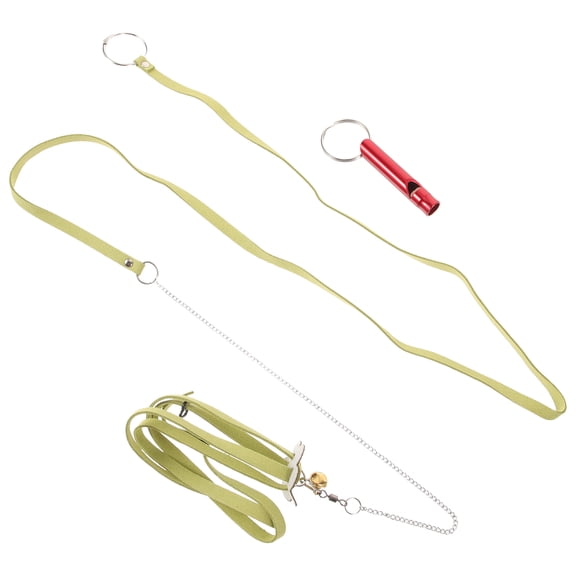 Baluue Adjustable Reptile Leash for Turtle Set