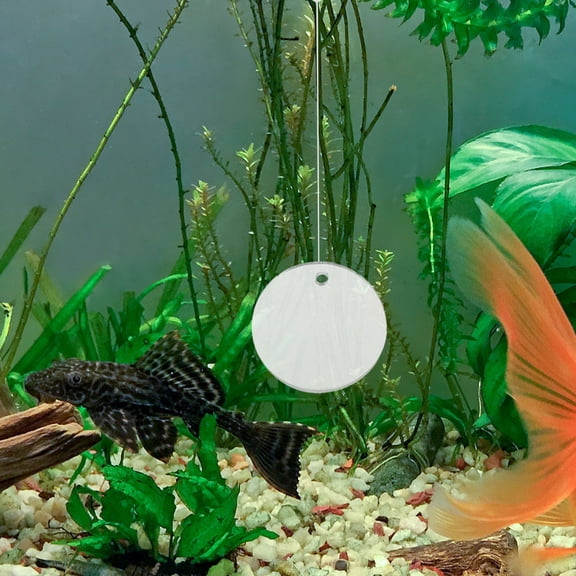 Baluue Promoting Active Lifestyle Aquarium Floating Ball for Betta Fish 1 PCS
