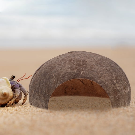 Baluue Reptile Hideouts Reptile Hideaway House Wood Coffee Aquarium Decor 1Pcs