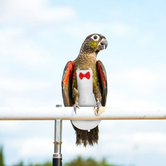 Baluue White Reusable Bird Diaper Flight Suit with Bow for Parrots Cockatiels and Small Birds