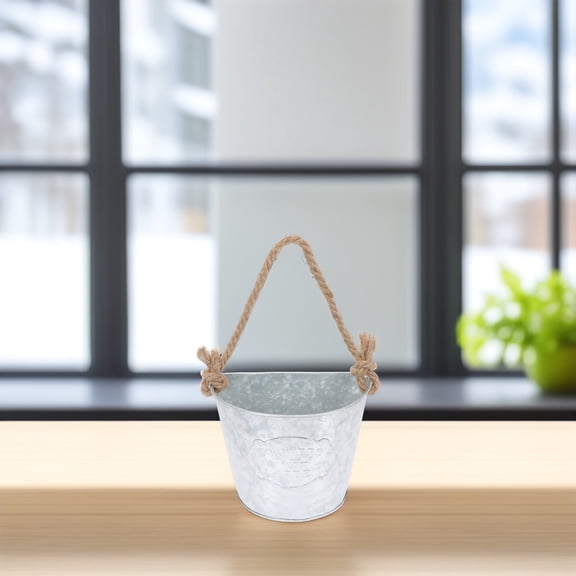 Baluue Space Saving Hanging Flower Pot Wall Decor with Silver Iron for Office 1Pcs