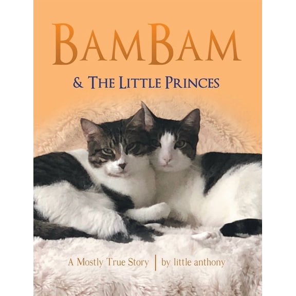 BamBam & The Little Princes: A Mostly True Story, (Paperback)