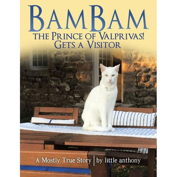 BamBam the Prince of Valprivas! Gets a Visitor: A Mostly True Story, (Paperback)