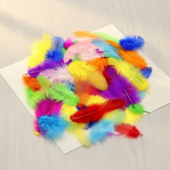 Bambang 800 Pcs 3-5 Inch Natural Multicolor Rooster Craft Feathers for DIY Wedding, Party Decor & Crafting Projects