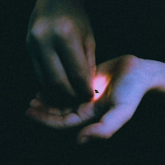 Bambara - Stray - Music & Performance - Vinyl