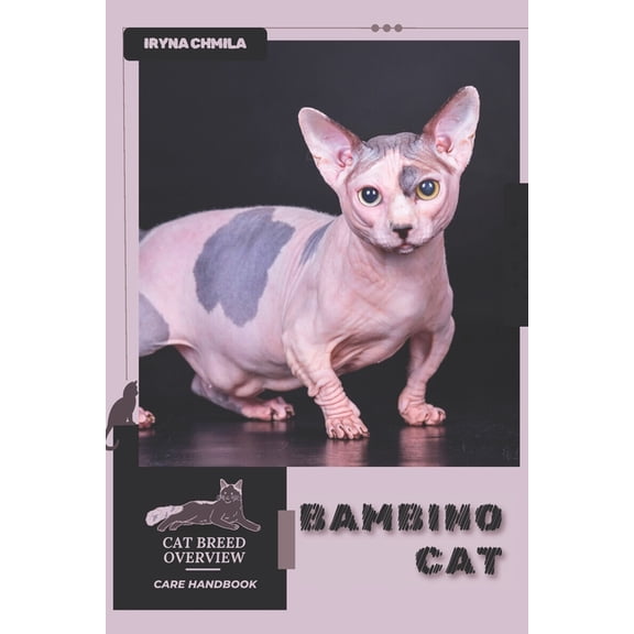 Bambino Cat: Cat breed overview, care handbook, (Paperback)
